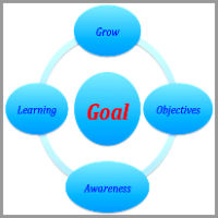 yasmine-shahin-coaching-model The Goal Model