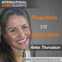 Aleka Thorvalson Power Tool Integration vs Projection