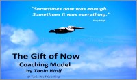 Life Coaching Model Tania Wolf -600x352