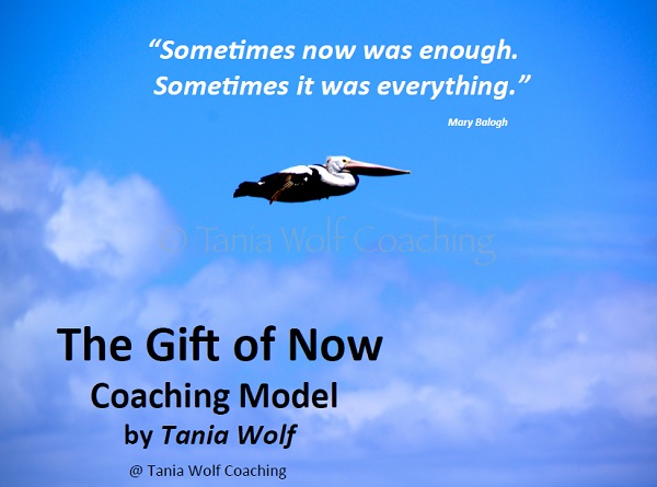 Life Coaching Model Tania Wolf 7