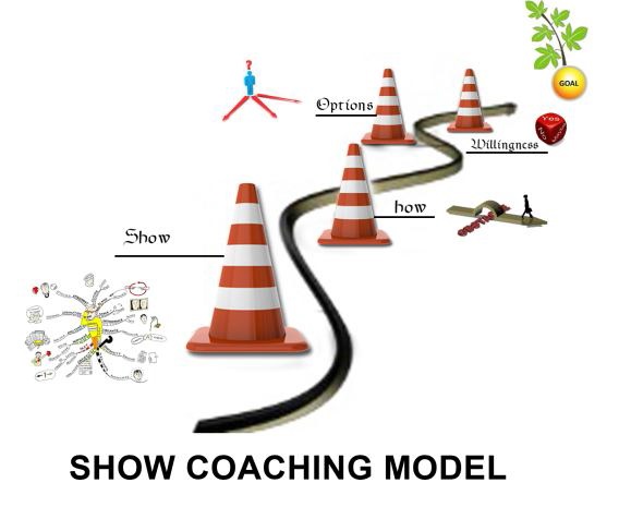 Executive Coaching Model Amjad Ali 1