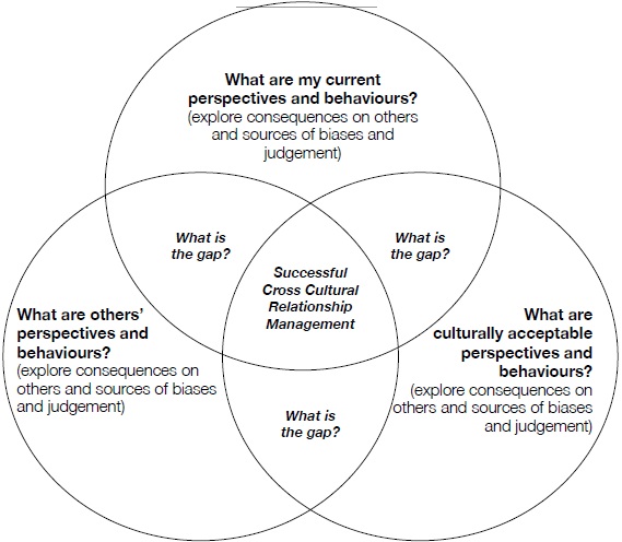 Expatriate and Cross Cultural Coaching Model Lawrence Chi 4