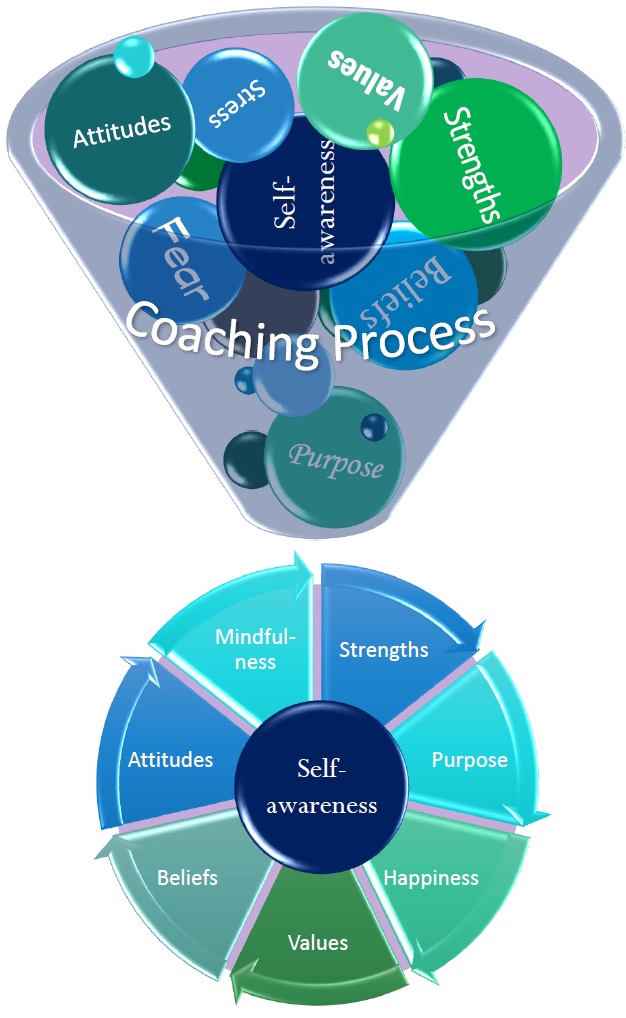 Kimberly Swanson Coaching Model 1