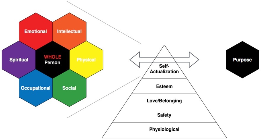 agile-coach-business-coaching-model-vernon-stinebaker