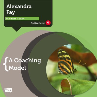 FLY Business Coaching Model Alexandra Fay