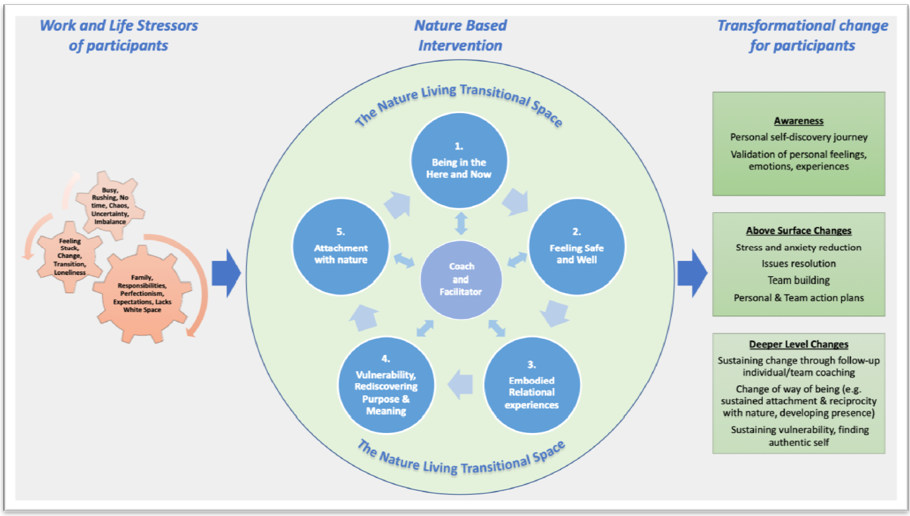 Executive_Coaching_Model_John_Holden