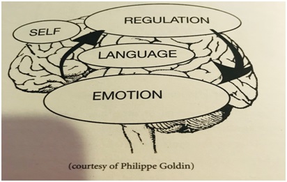 Cognitive Empathy vs. Affective Empathy Theano Kalavana Power Tool 1