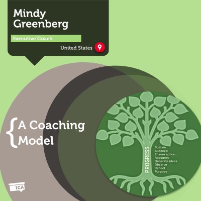 PROGRESS Executive Coaching Model Mindy Greenberg