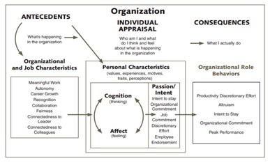 Barbara Busi Research Paper 