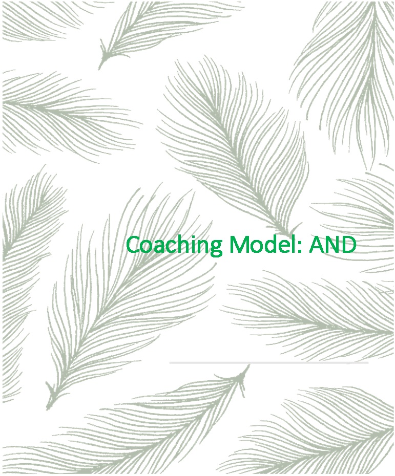 Communication Coaching Model Petya Wienand