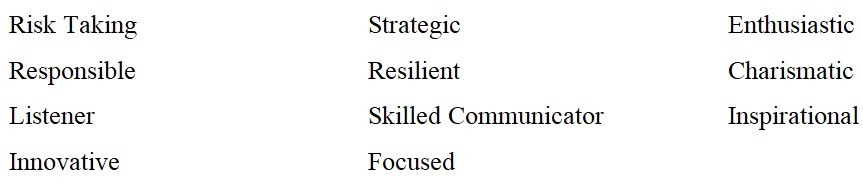 Leadership Coaching Model David Kincaid