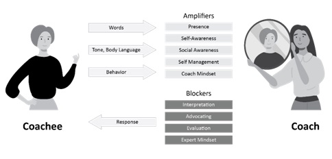 Business Coaching Model Damon Poole