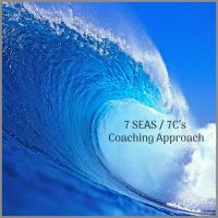 Transformational Coaching Model Sabine Schoellhorn