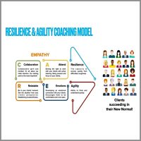 Business Coaching Model Daniel Chng