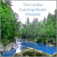 Business Coaching Model Wendy Leggett