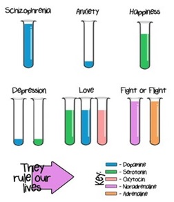 Gaya Gamhewage_Research_Paper