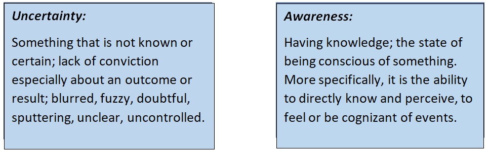 Robyn Lewis_Coaching_Tool Uncertainty vs. Awareness