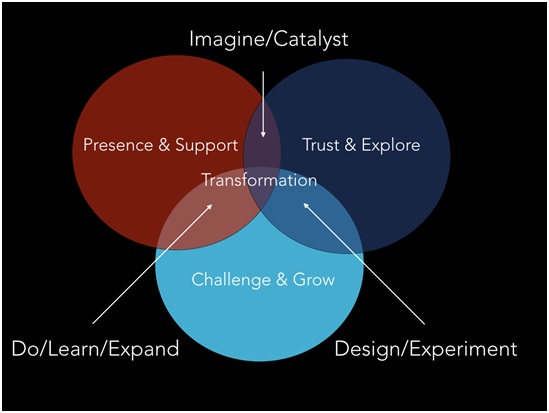 Transitions and Transformation Career Coaching Model Tiffany Purn