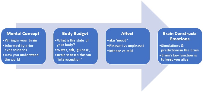 Emotions Jennifer Topinka Research Paper