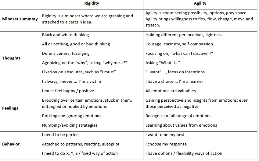 Rigidity vs. Agility Jennifer Topinka Power Tool