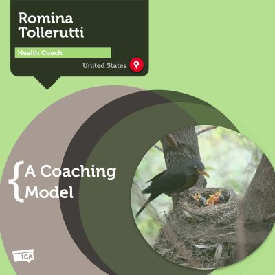 Nest Health and Wellness Coaching Model Romina Tollerutti