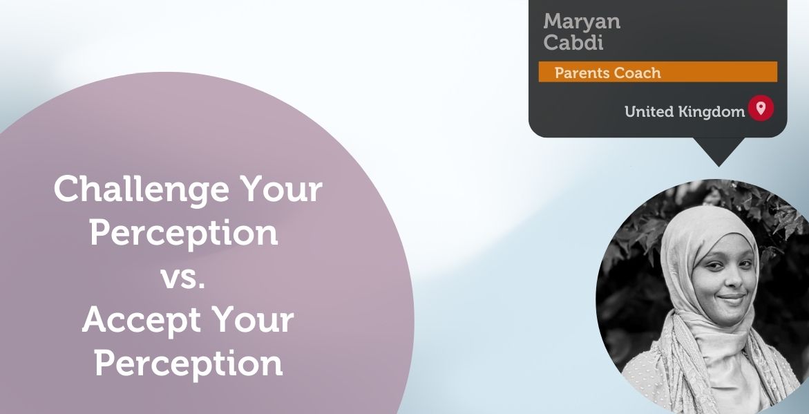 Challenge Your Perception vs. Accept Your Perception Power Tools - Maryan Cabdi