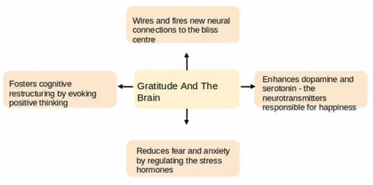 The Good Life: Is Gratitude the key? Research Papers - Laura Davison