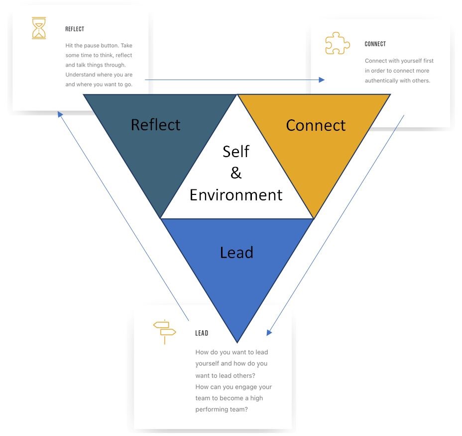 REFLECT – CONNECT – LEAD Tim Sandock Coaching Model