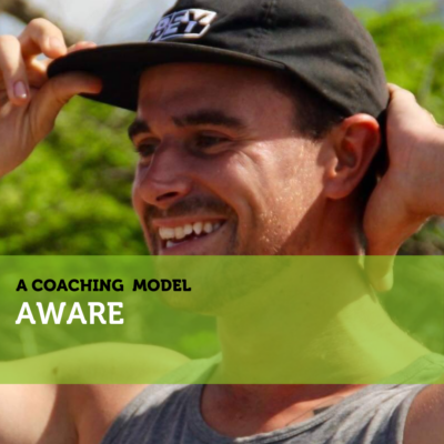 DIVE Coaching Model By Richard Lefort