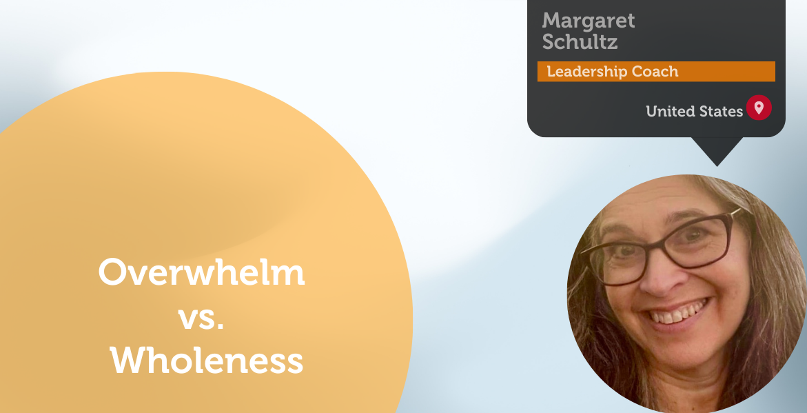 Overwhelm vs. Wholeness Power Tool Feature - Margaret Schultz